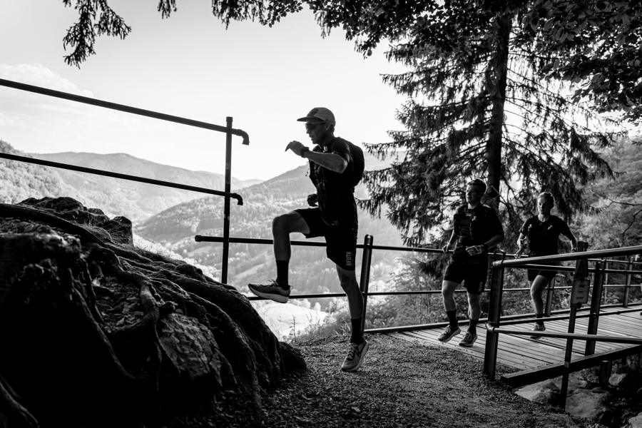 Eine Gruppe Läufer*innen auf dem Steg der Blackforestline in Todtnau, im Gegenlicht