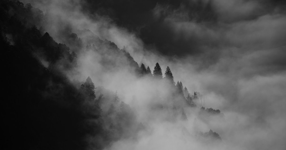 Black Forest ULTRA Trail Run 2027 · Six races. One myth.