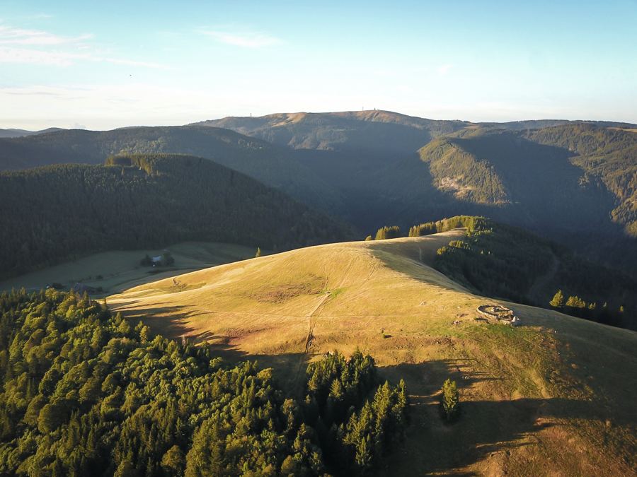 Drohnenblick über Weiden und Wälder im Abendlicht