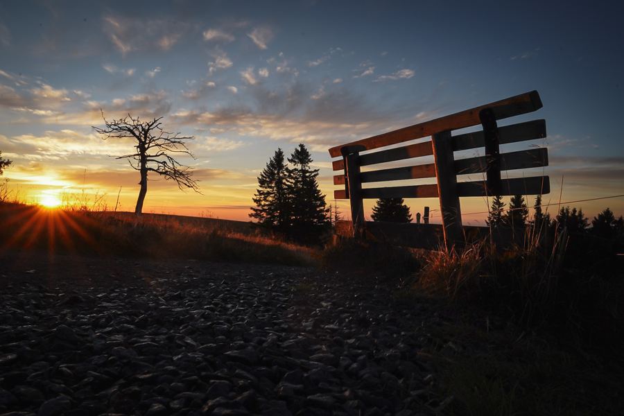 Sonnenuntergang mit Bank und einzelnem Baum auf dem Höhenrücken